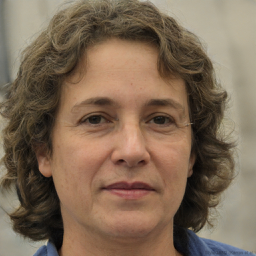 Dr. Rebecca Stein, LCSW